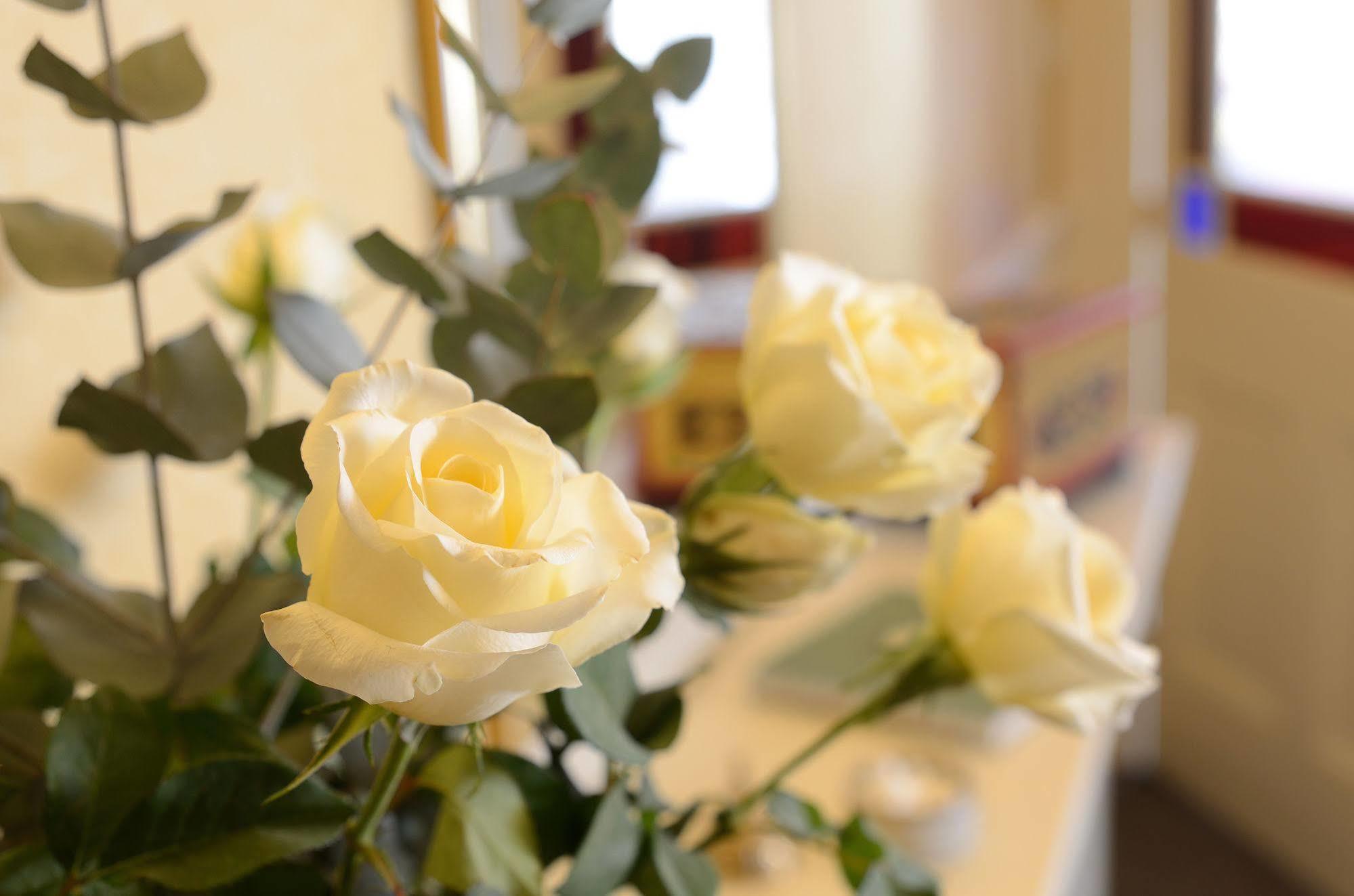 Crosby Bed & Breakfast Penrith Buitenkant foto